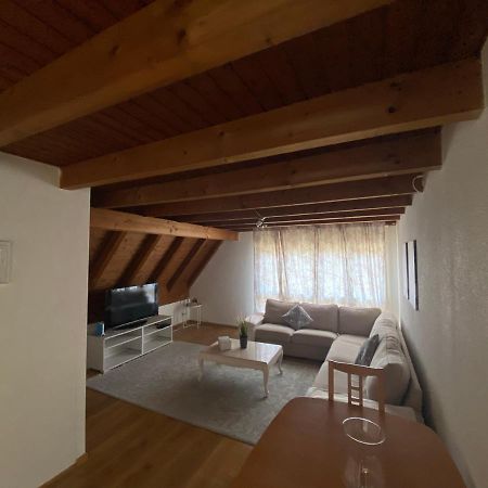 Get Cozy Family Flat Zuerichアパートメント エクステリア 写真